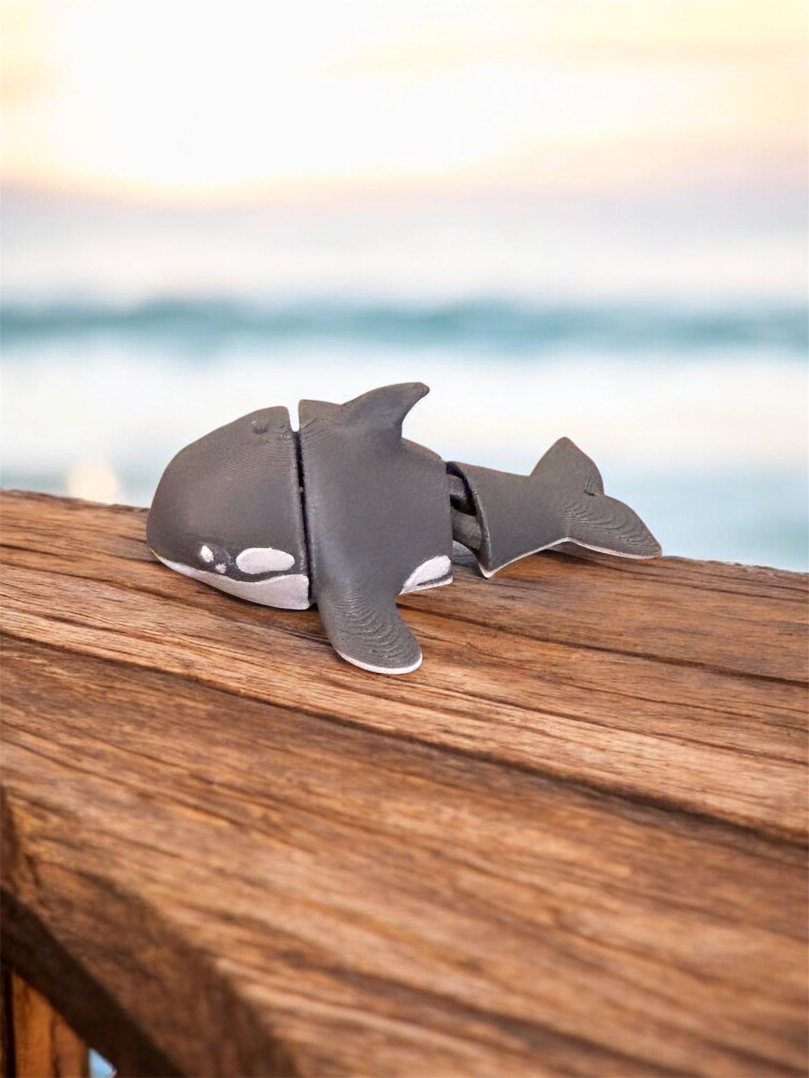 Ollie the Orca – Bild 2