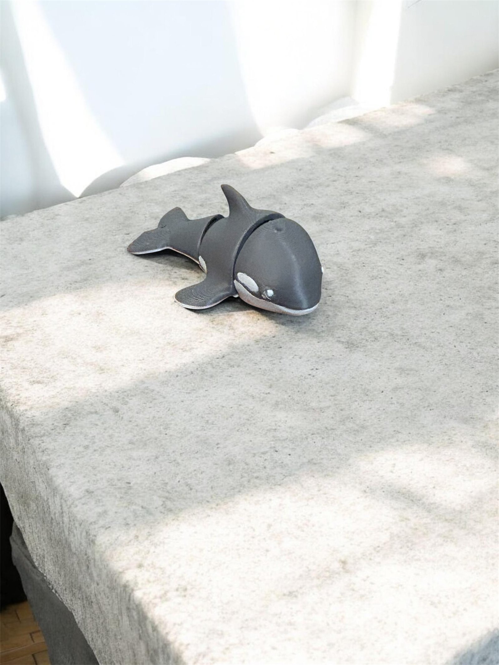 Ollie the Orca – Bild 3